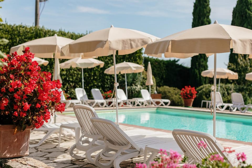 Garden, Garden view, Pool view, Swimming pool