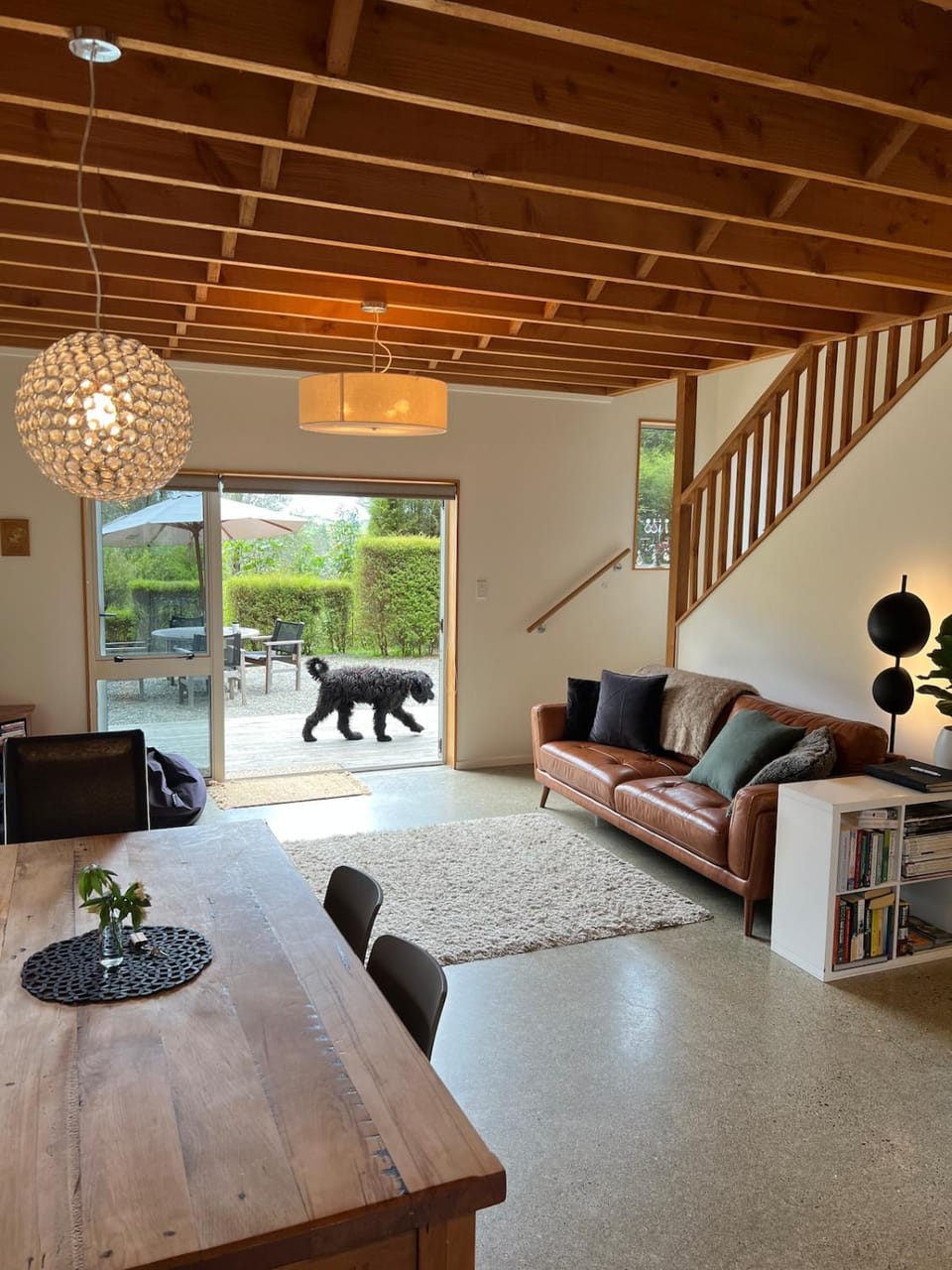 Living room, Pets