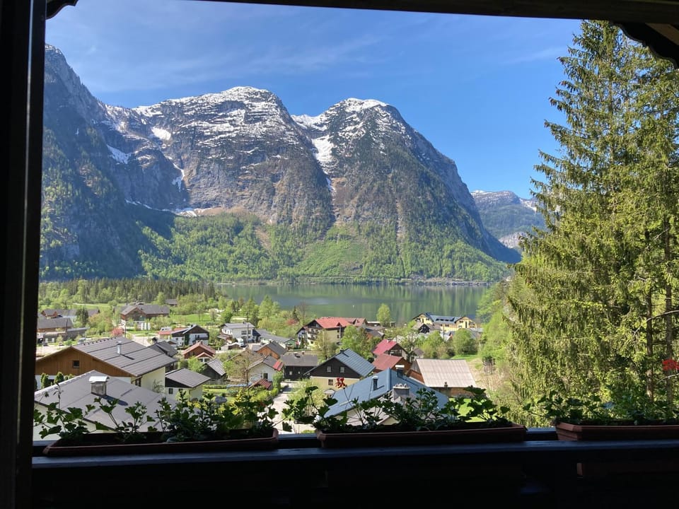 View (from property/room)
