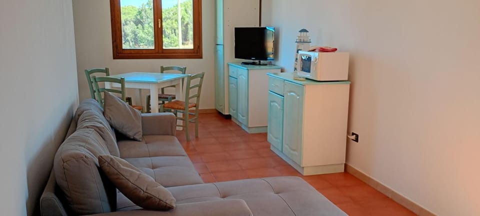 Communal lounge/ TV room, TV and multimedia, Living room, Alcoholic drinks, microwave, air conditioner