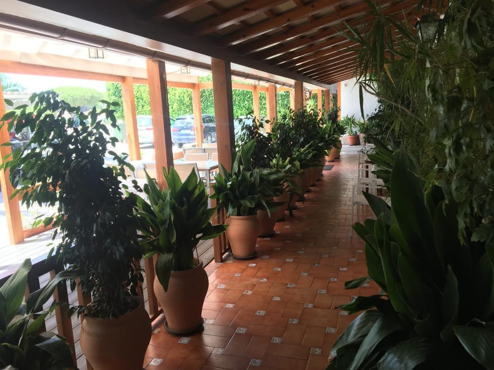 Garden, Facility for disabled guests