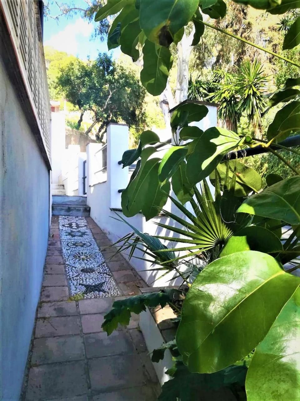 Day, Garden view
