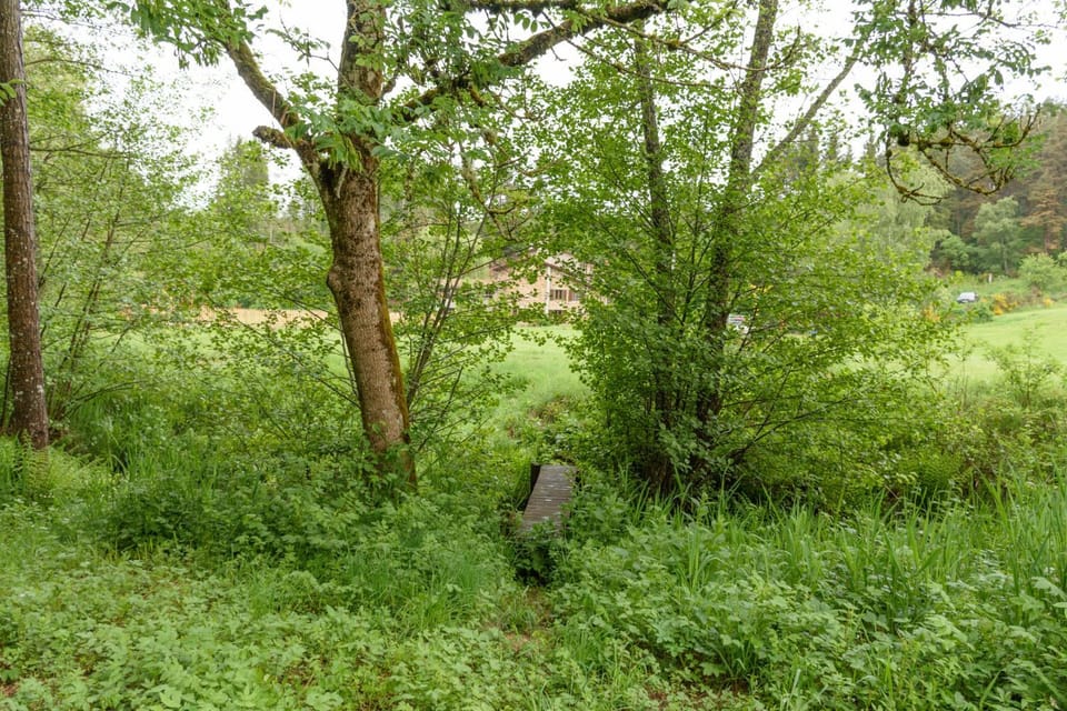Spring, Garden