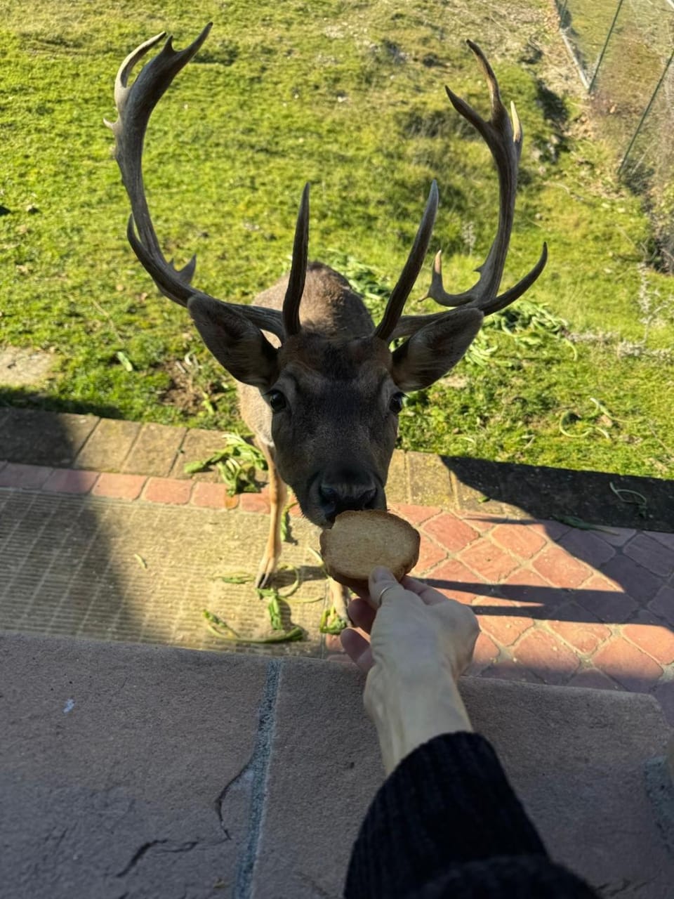 Bio Agriturismo Olivastrella Farm Stay in Umbria