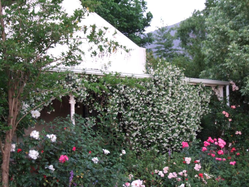 Property building, Patio