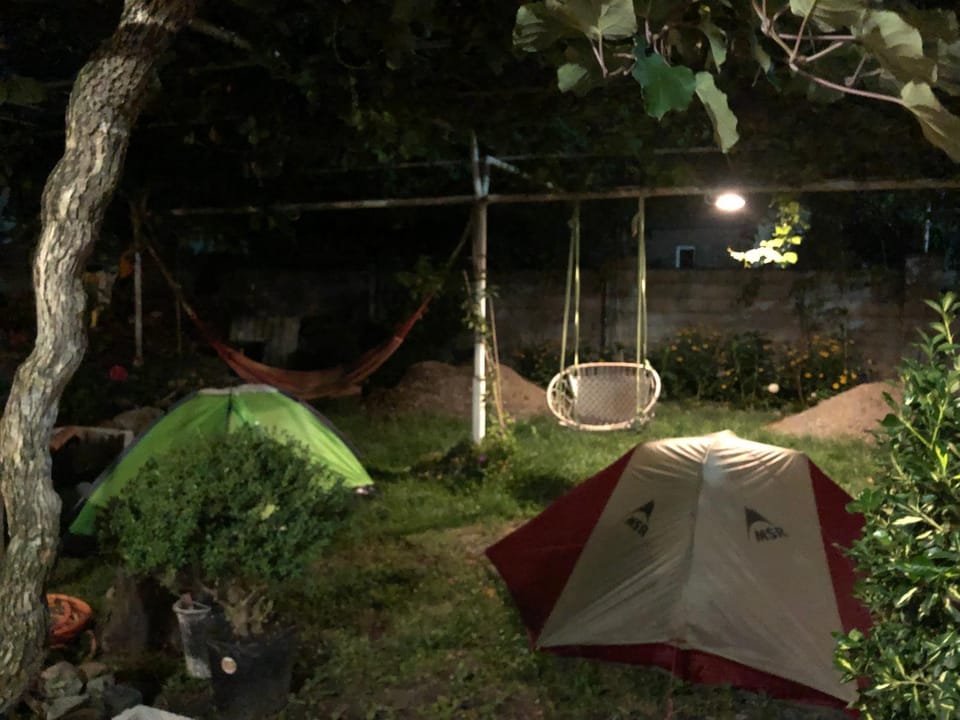 Night, Natural landscape, Garden, Garden view