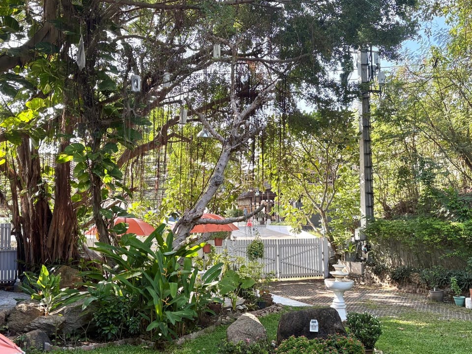 Garden view