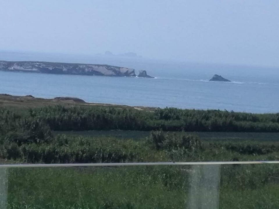 Garden view, Sea view