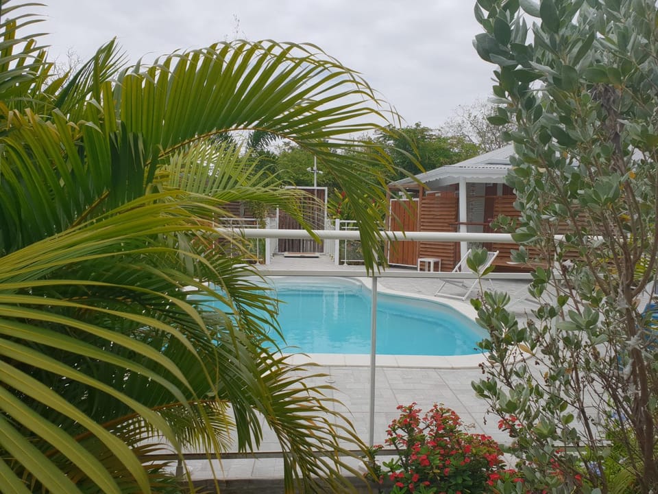 Garden, Garden view, Pool view, Swimming pool