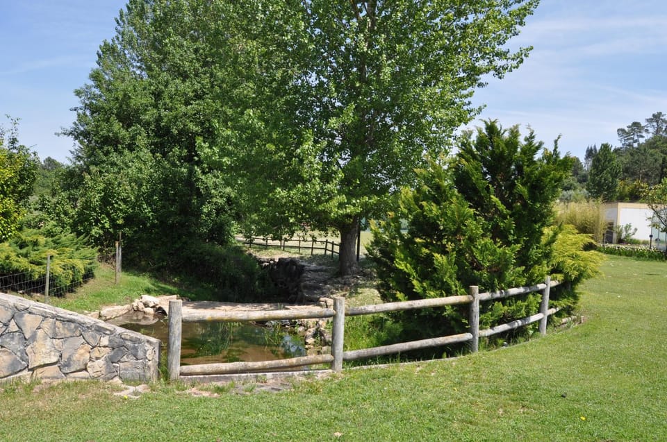 Garden view, River view