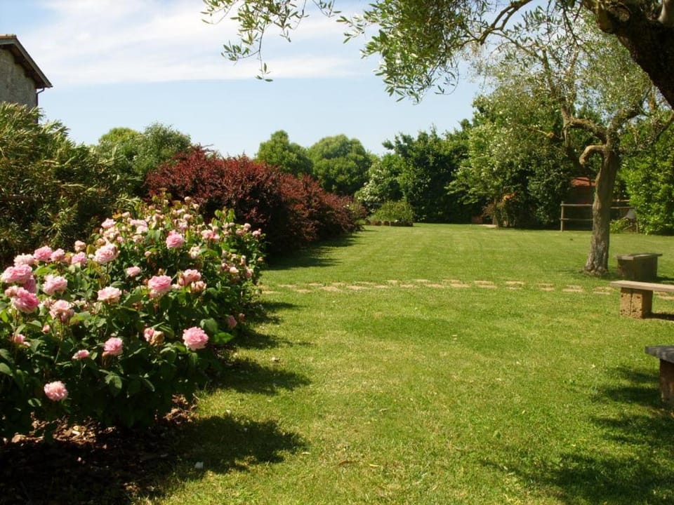 Garden, Garden view