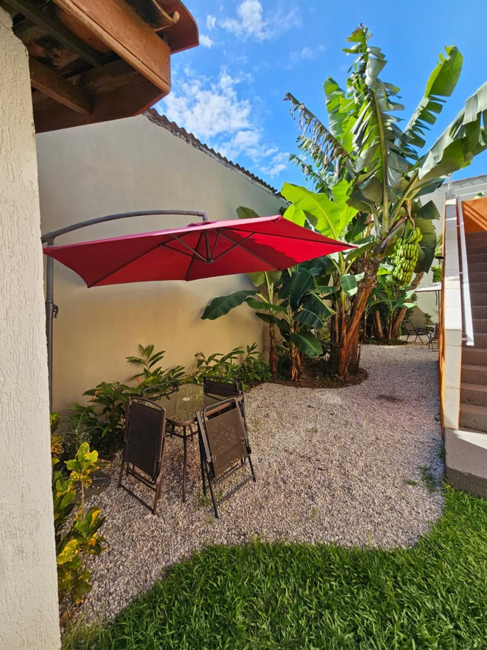 Patio, Garden, Garden view