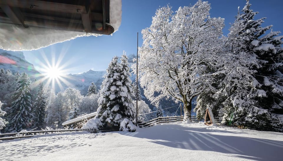 Property building, Winter, Garden