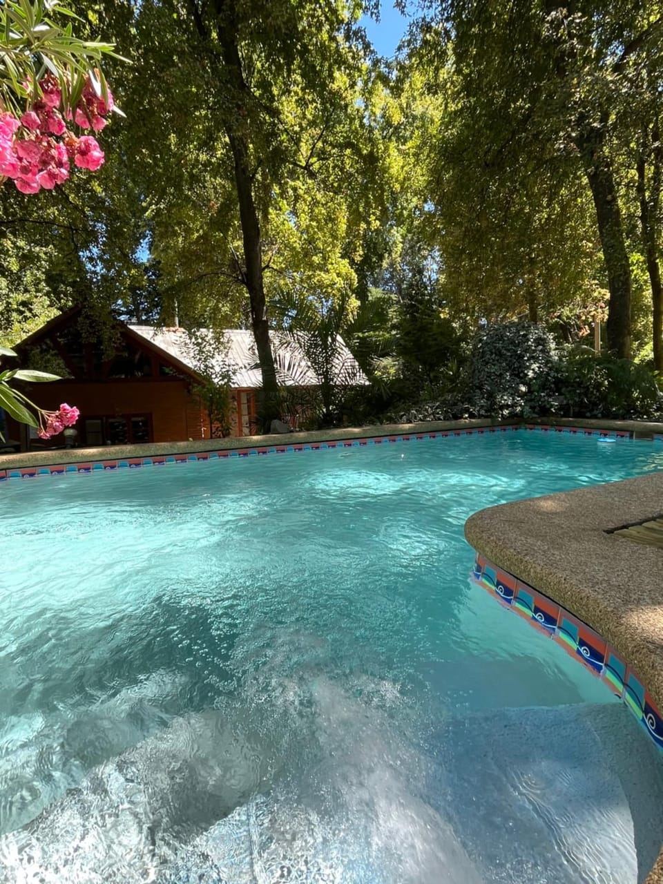 Garden, Swimming pool