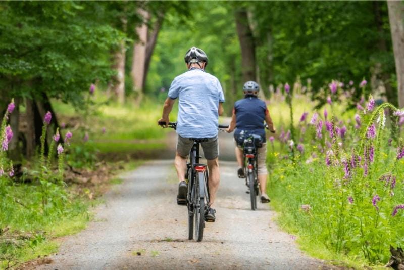 Natural landscape, Cycling