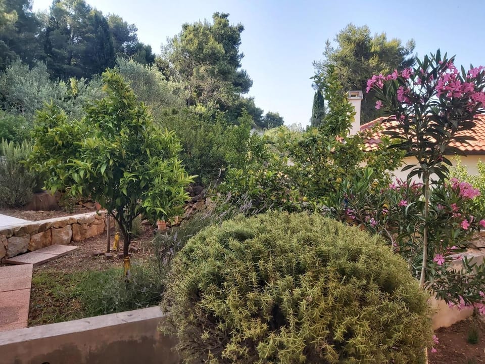Apartman Anna Apartment in Šibenik-Knin County, Croatia