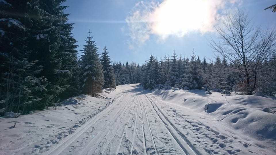 Skiing