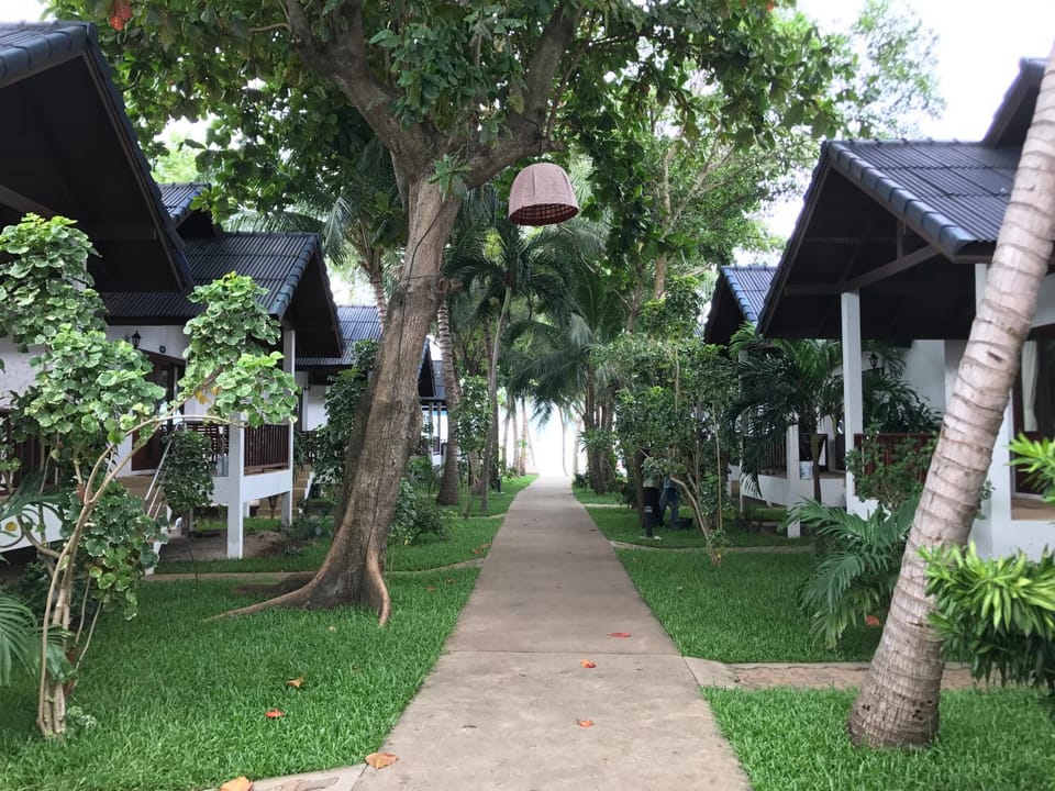 Garden view