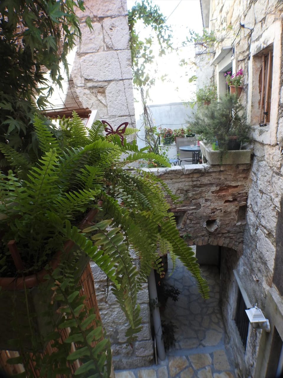 Patio, Area and facilities, Inner courtyard view