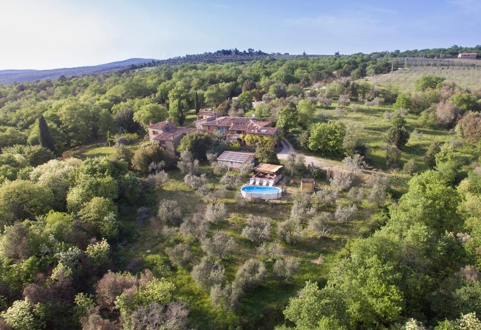 Bird's eye view, Garden view, Pool view