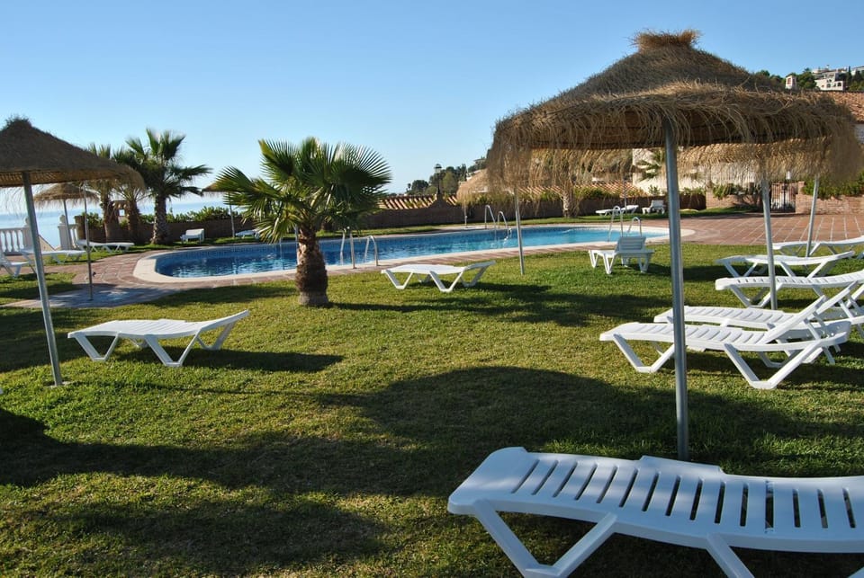 Garden, Swimming pool, Swimming pool
