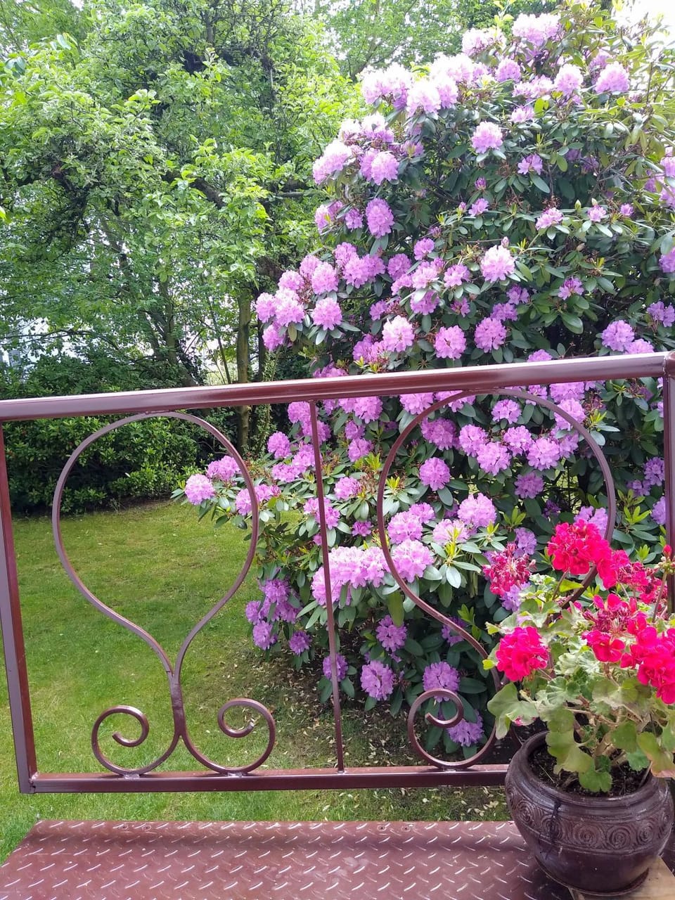 Garden, Garden view