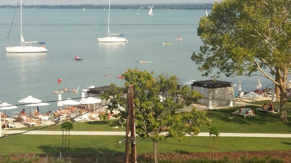 Lake view
