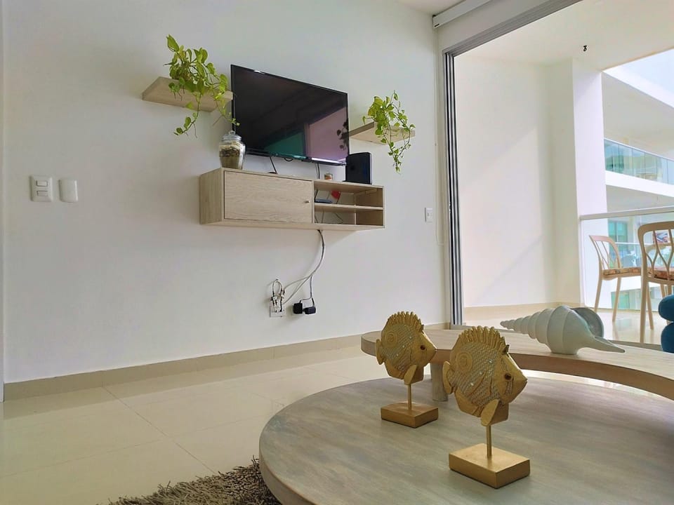 TV and multimedia