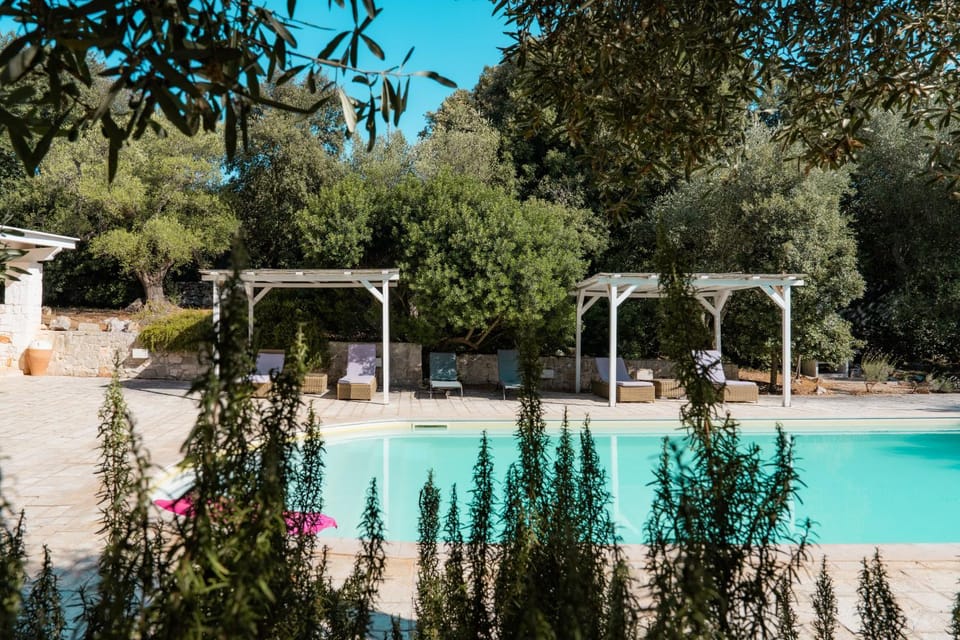 Garden, Garden view, Pool view, Swimming pool, sunbed