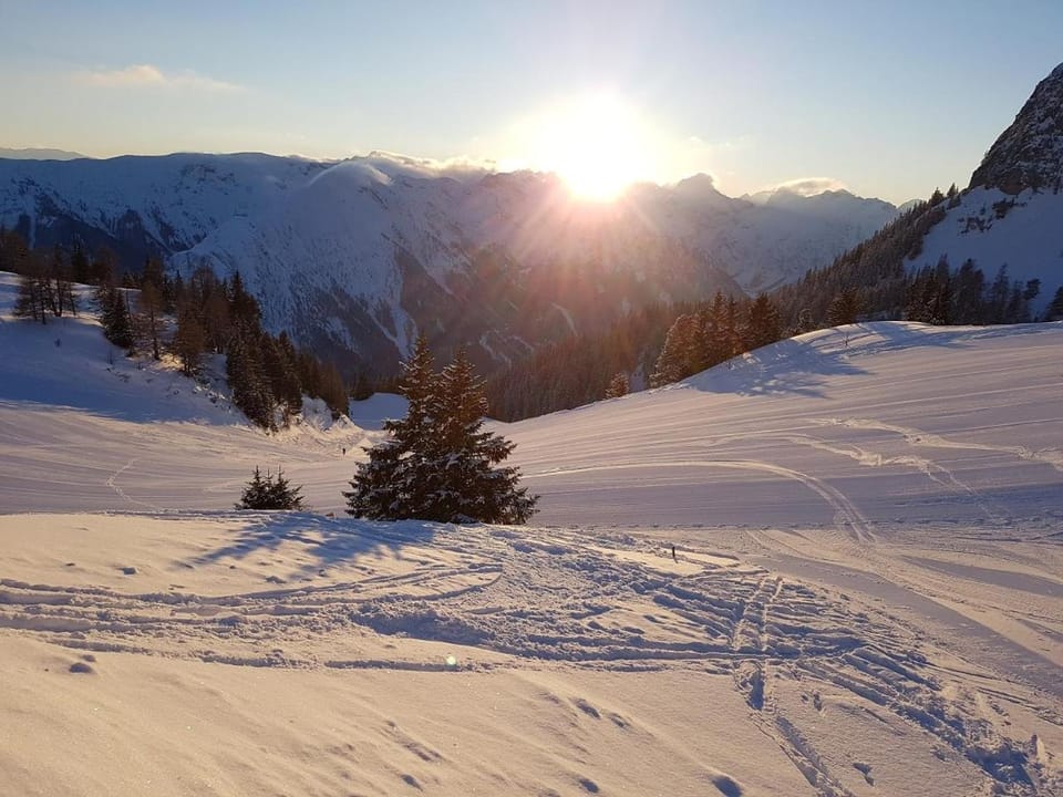 Property building, Winter, Skiing