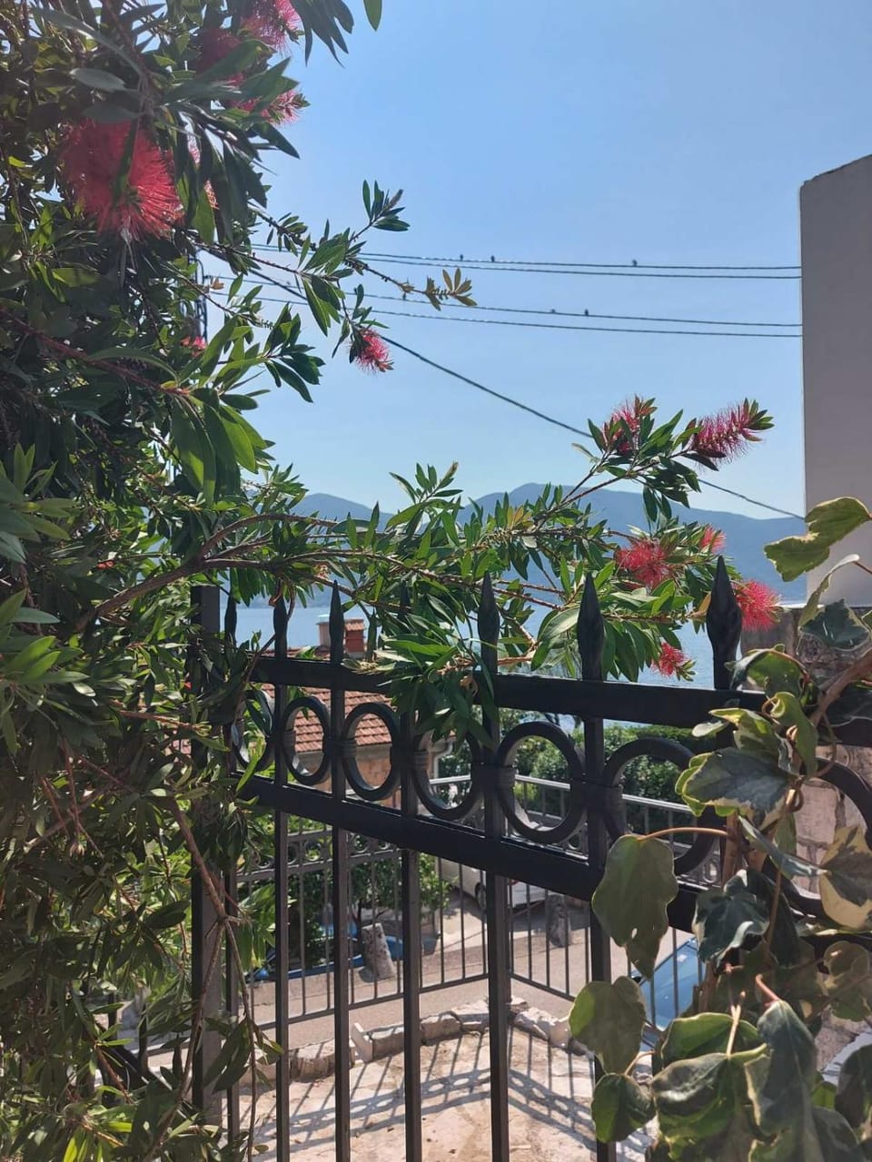 Villa El Mar Villa in Kotor Municipality