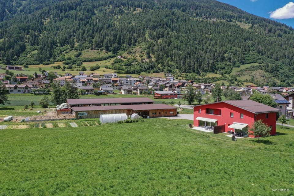 Pauraria Puntetta Apartment in Canton of Grisons
