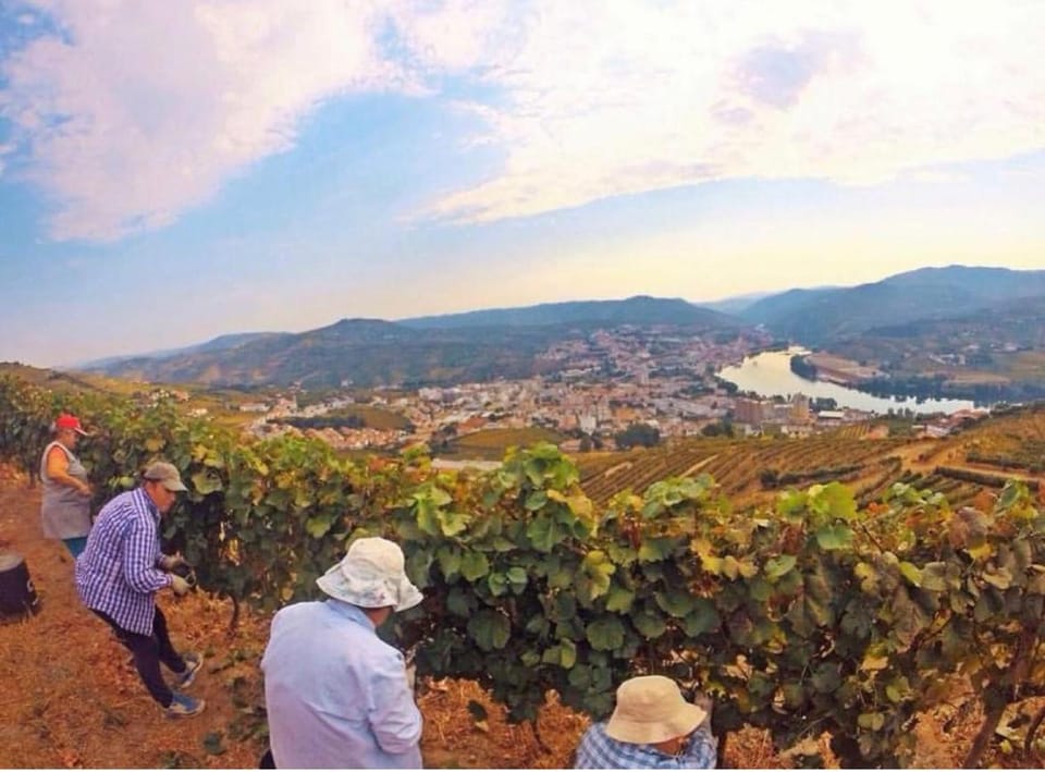 Quinta Pecêga - AL Bed and Breakfast in Vila Real District