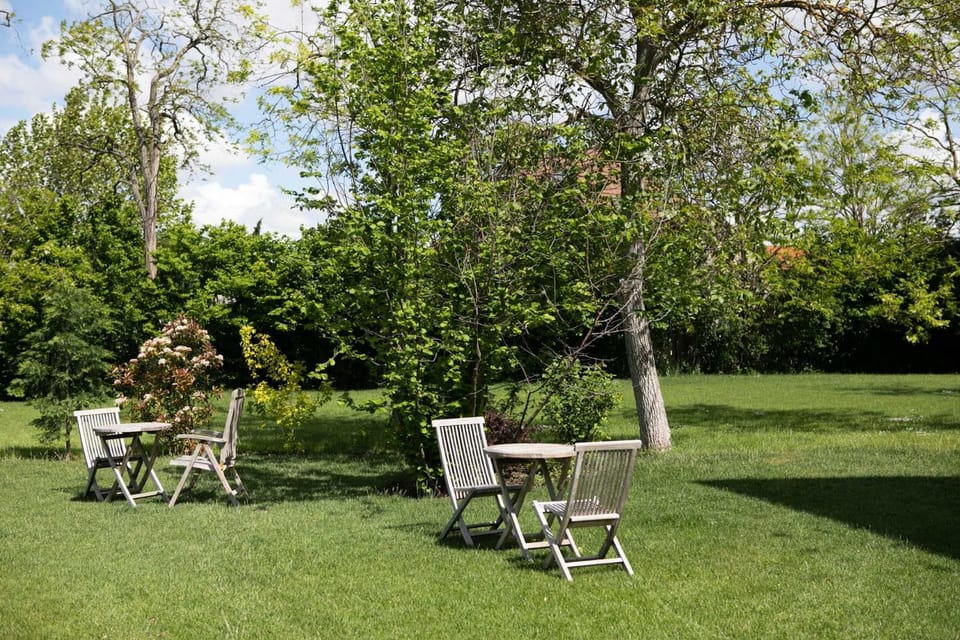 Garden, Swimming pool