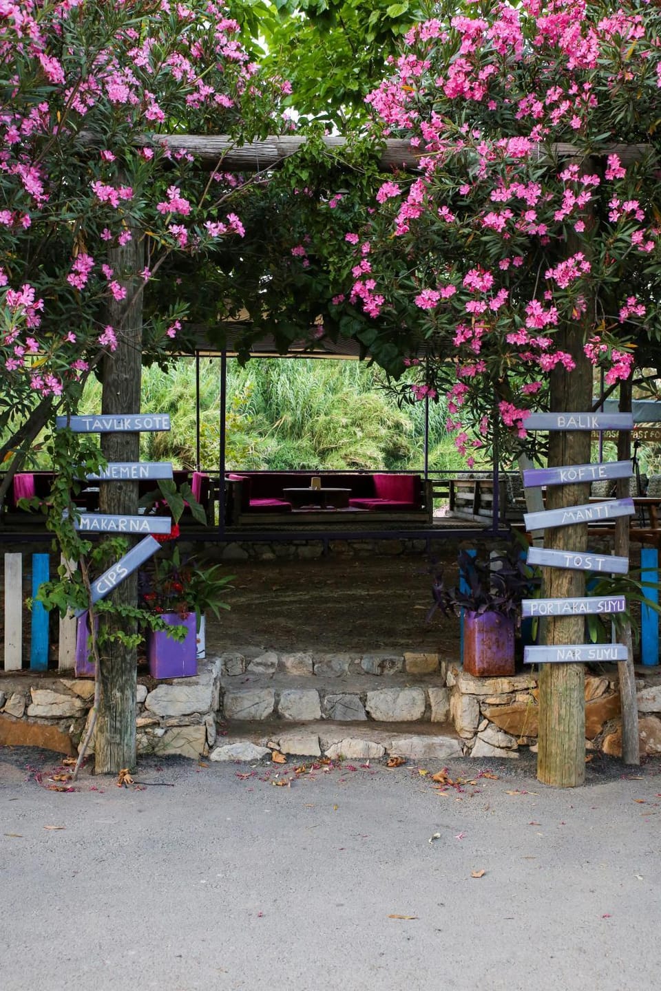 Spring, Day, Garden, Garden view