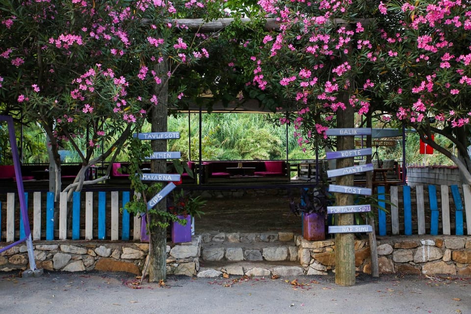 Spring, Day, Garden, Garden view