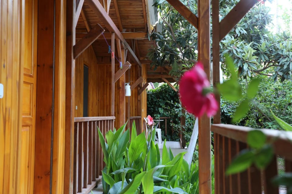 Spring, Day, Garden, Garden view