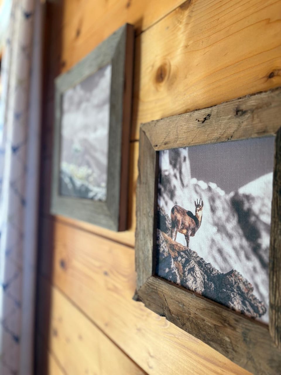 Moabauer Farm Stay in Salzburgerland