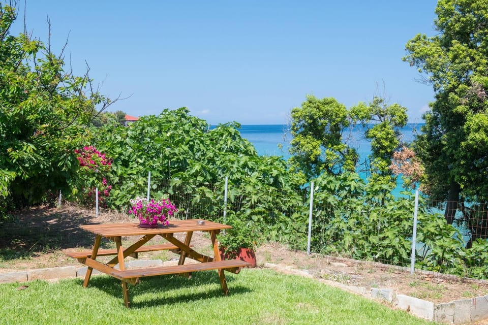 Garden, Sea view
