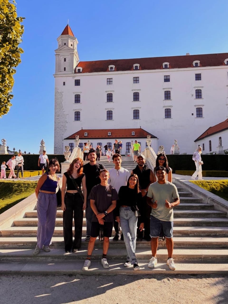 Wild Elephants Hostel Hostel in Bratislava