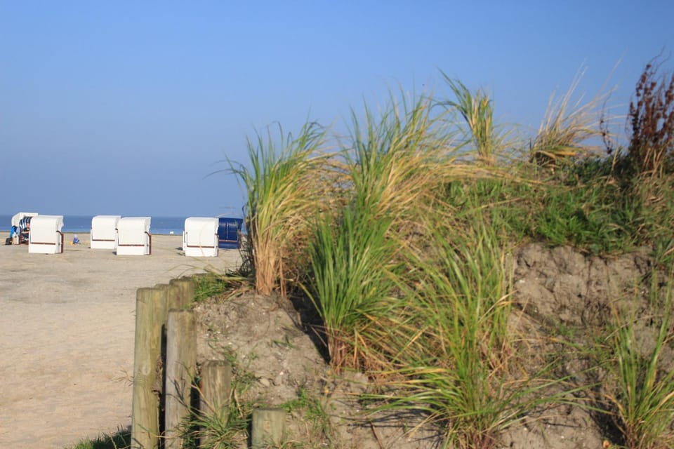 Day, Summer, Beach
