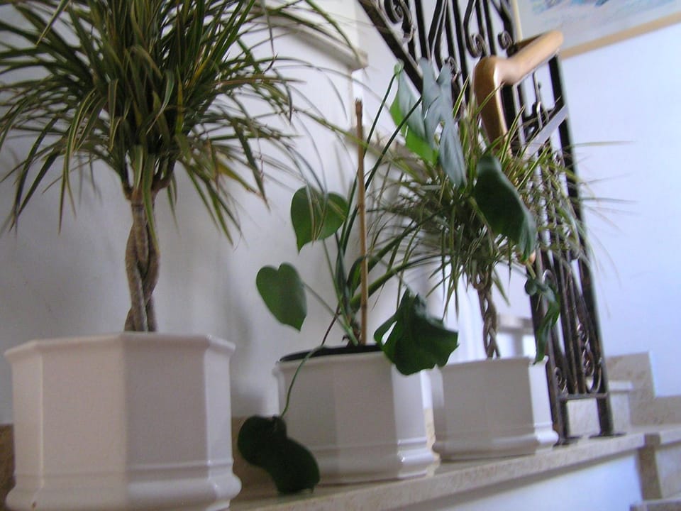 Decorative detail