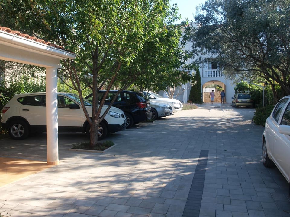 Patio, Garden