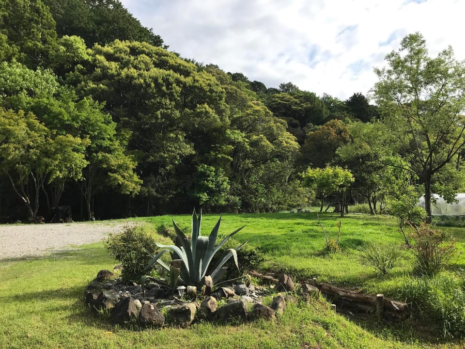 Rulo Classic Garden House in Japan