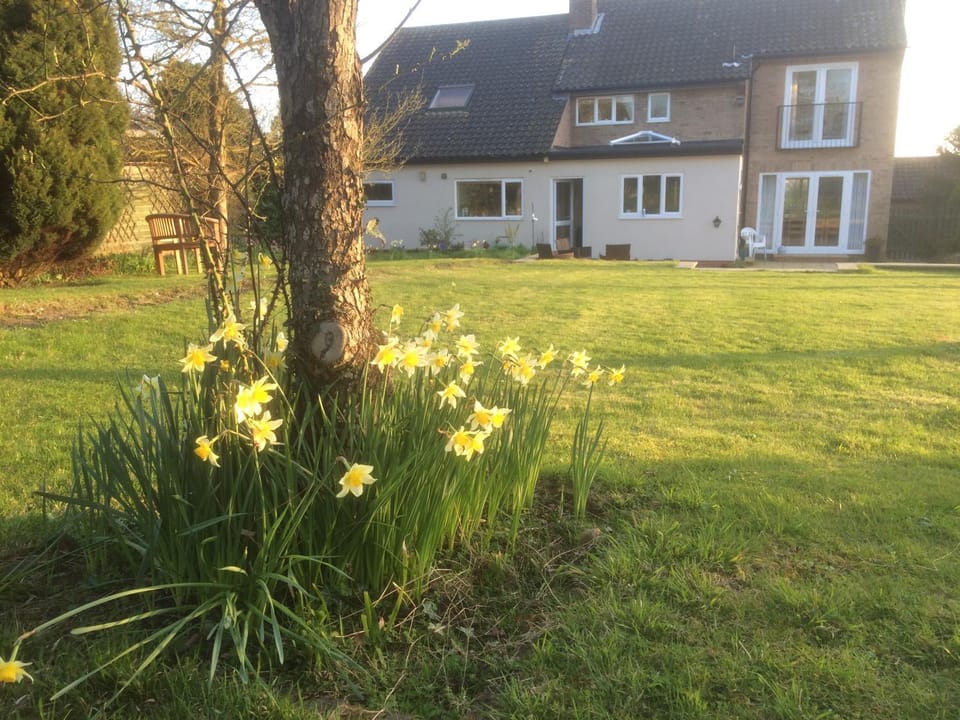 On site, Garden view
