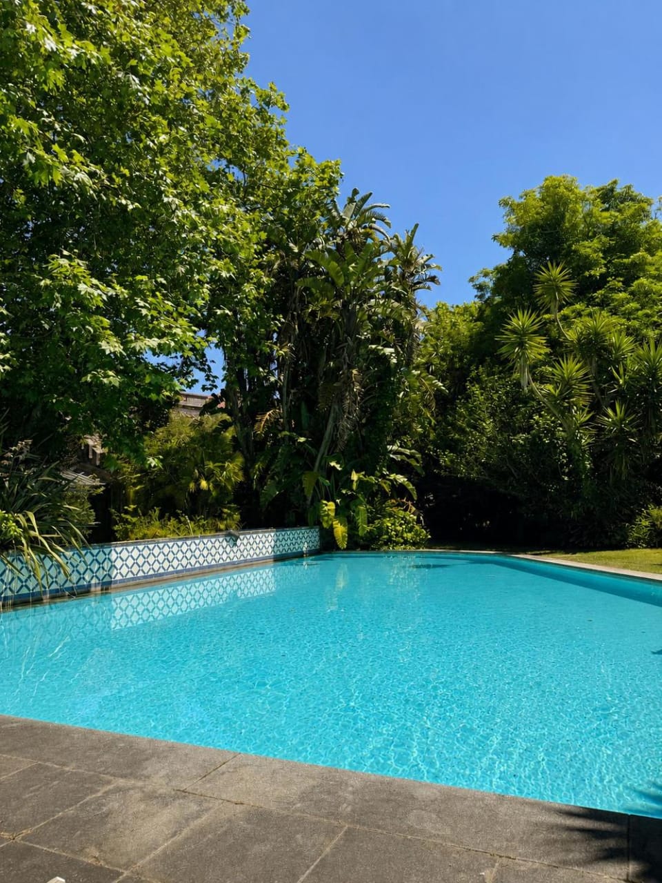 Garden, Pool view, Swimming pool