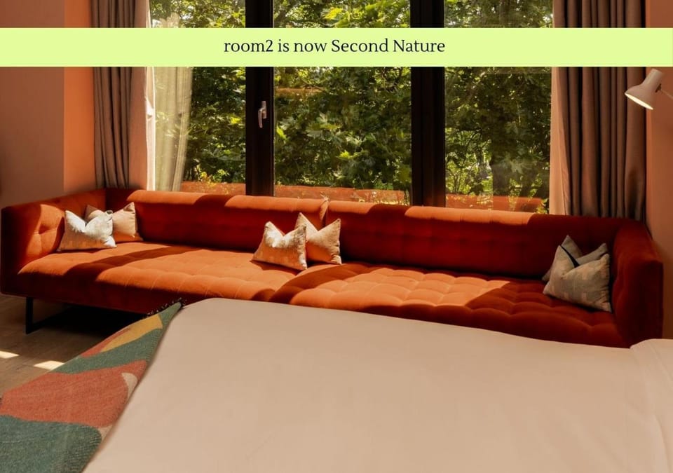 Bed, Photo of the whole room, Seating area, Bedroom