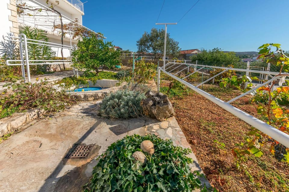 Patio, Garden