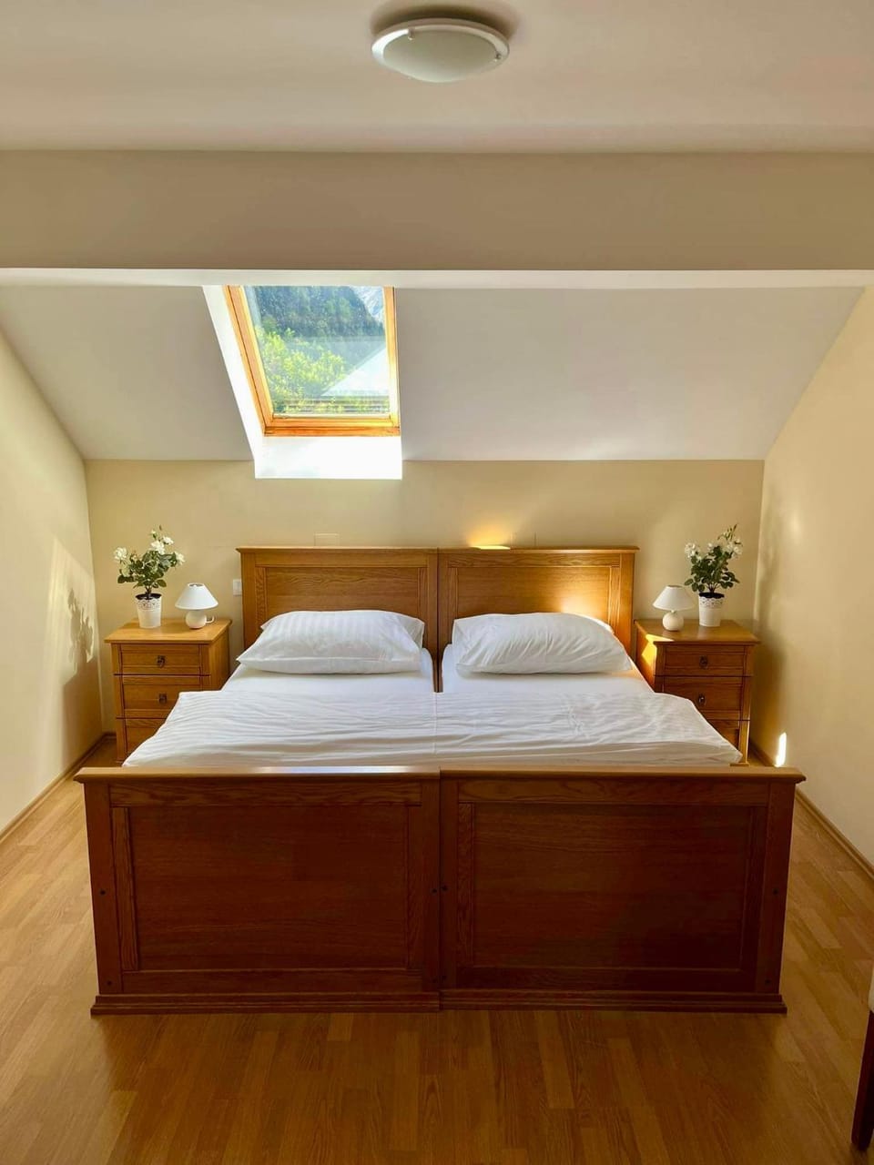 Hotel Alpine Hotel in Friuli-Venezia Giulia