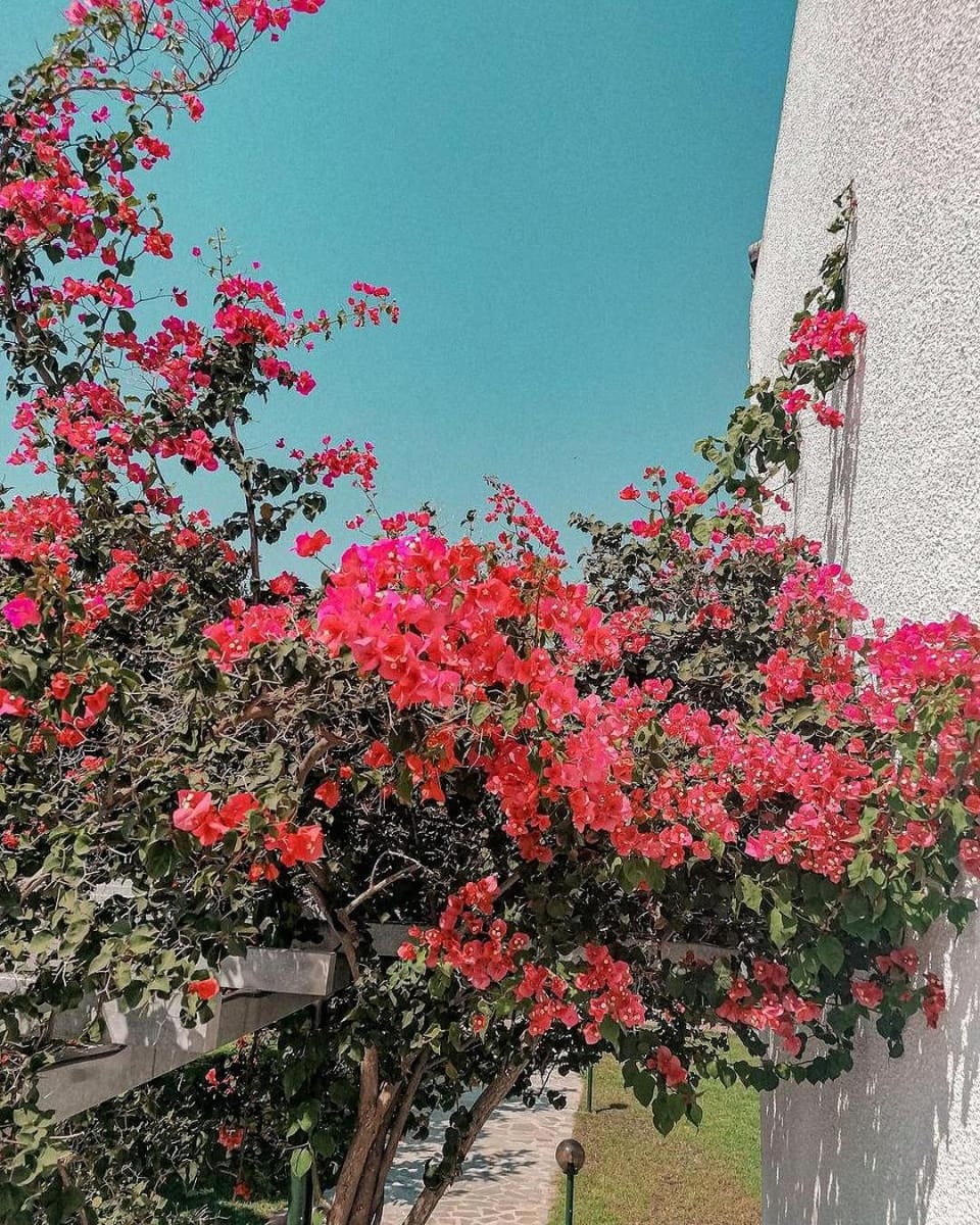Hotel Kalamitsi Apartments Apartment hotel in Peloponnese, Western Greece and the Ionian
